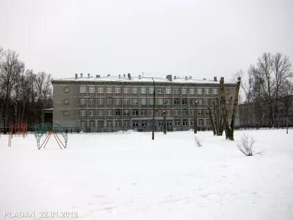 Гимназия 498