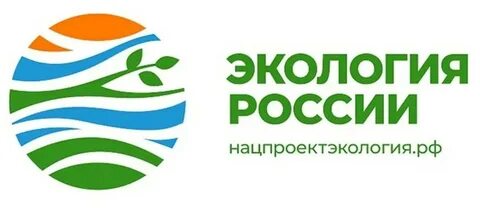 2024 год экологии