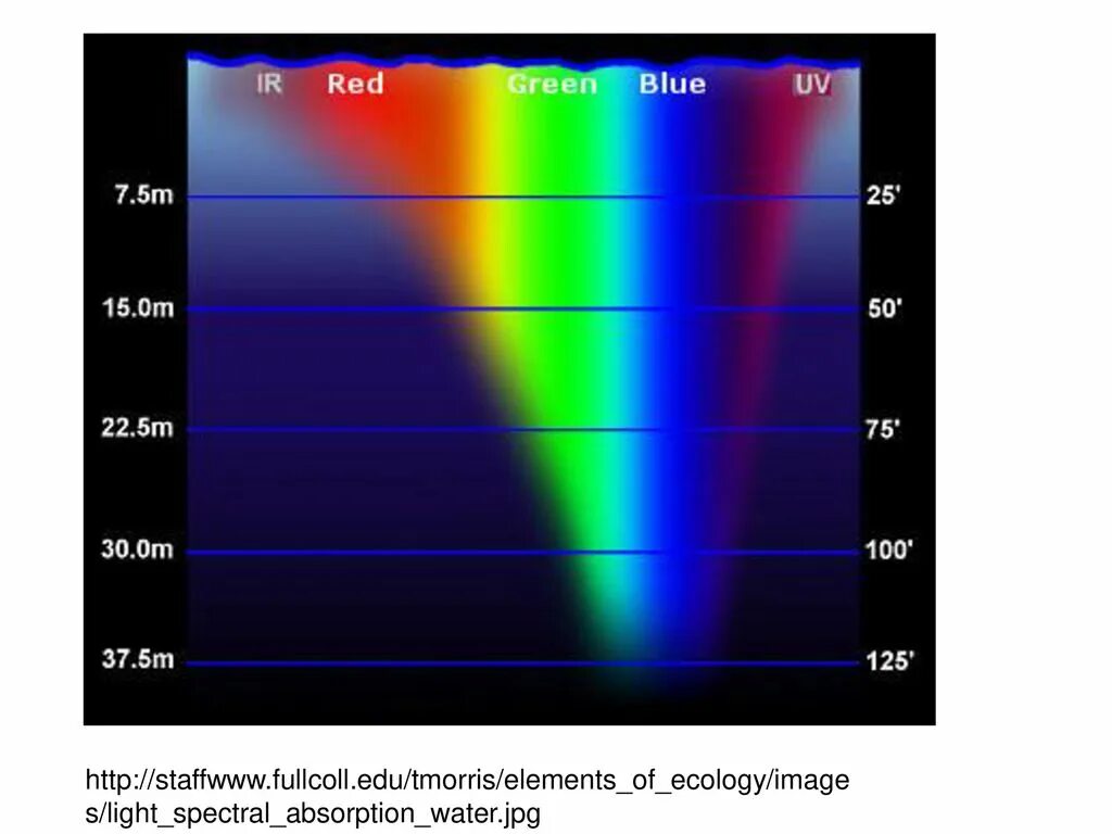 Спектр света в воде. Глубина цвета. Поглощение света водой. Спектр света под водой. Вода поглощает свет