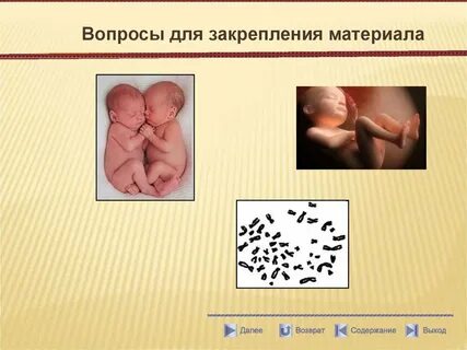 Антропогенетика