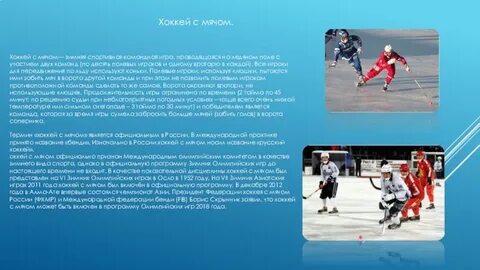 Хоккей с мячом какой вид спорта