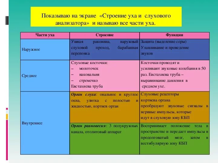 Гигиена слухового анализатора таблица. Гигиена слуха с обоснованием. Правила гигиены слуха и их обоснование таблица. Обоснование правил гигиены слуха. Гигиена органа слуха 8 класс