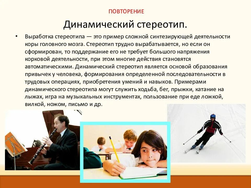 Навыки поведения примеры. Динамический стереотип. динвмически йстериотип. динамический стереотип примеры. понятие о динамическом стереотипе.