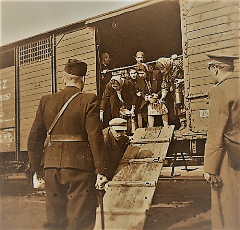 Войны белой расы. Освенцим железная дорога. Лагеря для интернированных британских солдат. Стремление к замещению немцами иностранцами всех. Французская дивизия сс шарлемань.