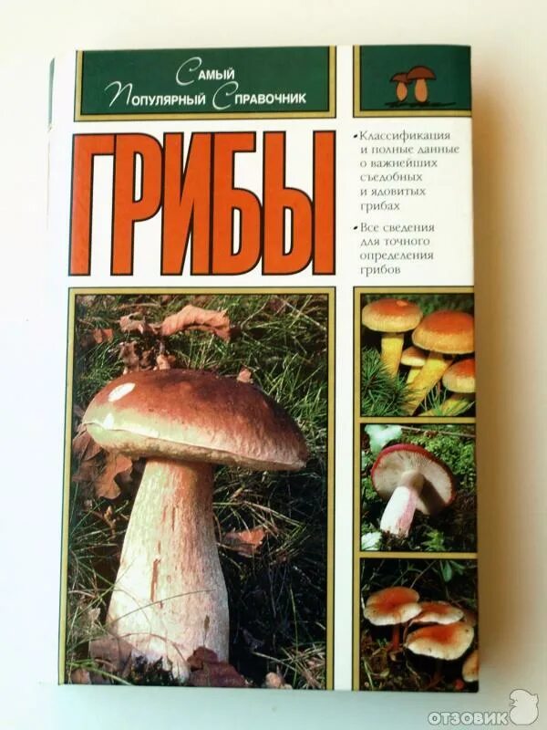 Раскраска первые уроки грибы. Книги про грибы для детей. Тематические карточки "грибы". Книжка про грибы. Настольная книга начинающего грибника михаил вишневский.