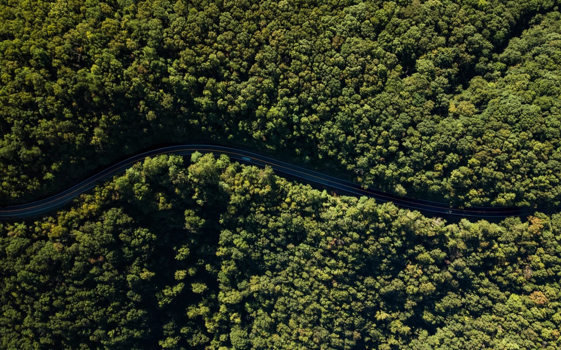 Aerial view. Земля с высоты птичьего полета. Лес с высоты птичьего полета. Ландшафт аэрофотосъемка. Дороги вид сверху.