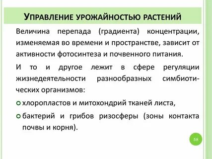 Величина растения