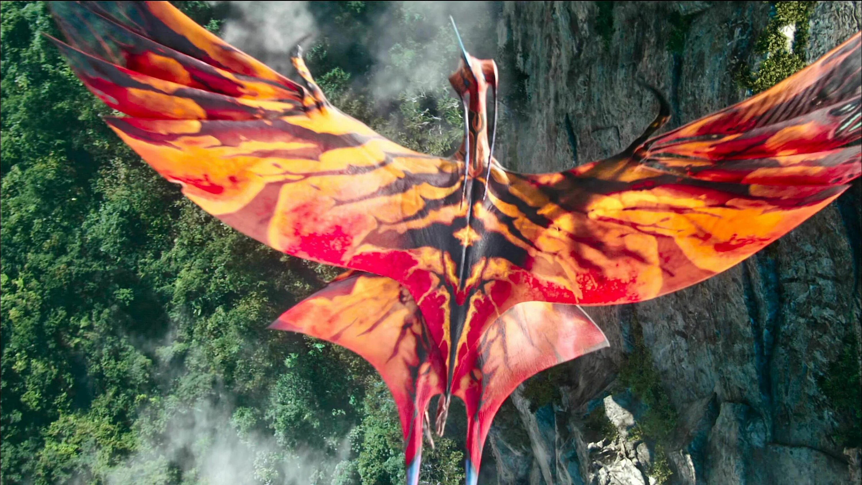 торук макто. торук леоноптерикс. торук макто. турук макто это. турук макто это.