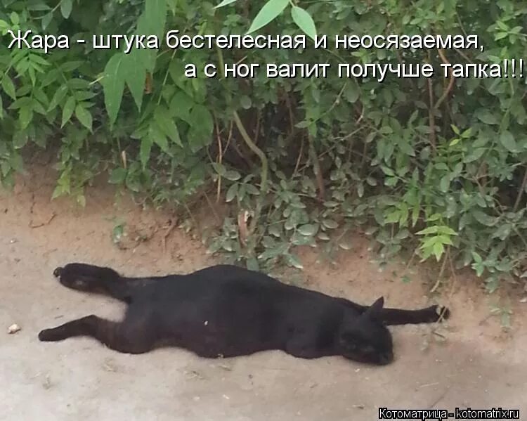 Утром вижу лучше чем вечером. Фразы про утро. Грустные цитаты. Утро вечера мудренее прикол. Утреннее пробуждение.