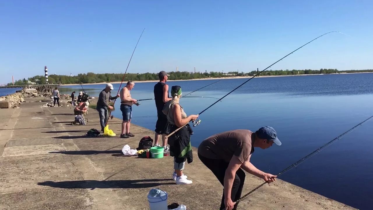 Ловля салаки. Рыболовство в Латвии. Рыбалка в Выборге.