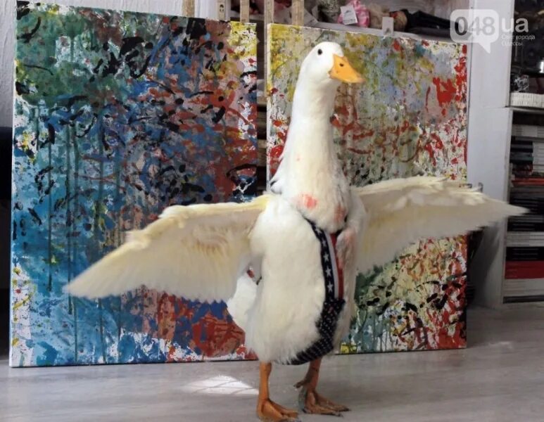 Игрушка гусь. Мягкая игрушка гусь серый. Гусь антистресс игрушка. Озон гусь. Озон гусь.