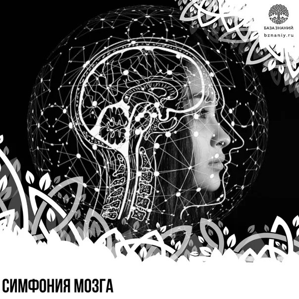 Песни brain. Симфония мозга. Симфония мозга 3 CD. Симфония мозга 1 CD. Музыка и мозг.