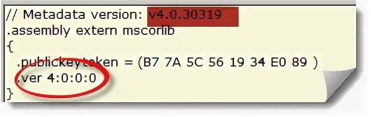 Metadata version