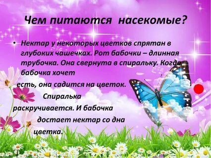Проект 3 класс цель