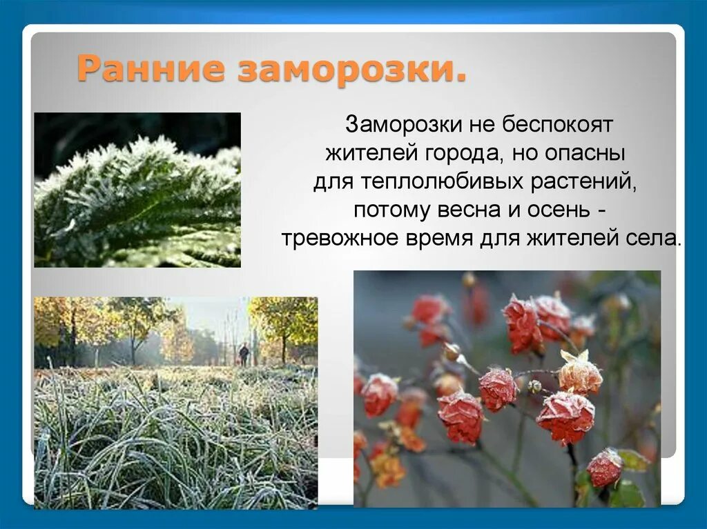 Неблагоприятные явления на лене и их причины