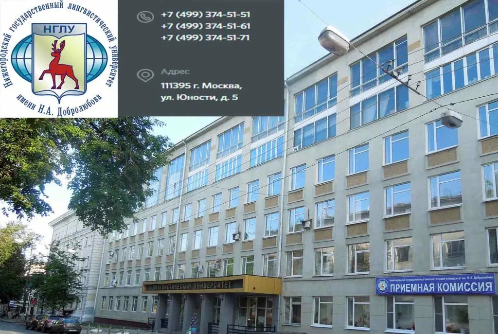 Мудл волгатех