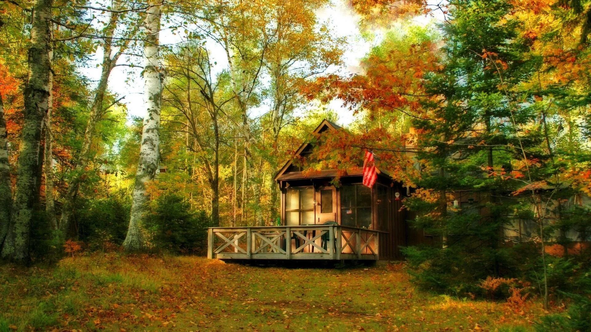 Осенняя дом 8. Домик в лесу. Домик в осеннем лесу. Красивые домики на природе. Красивый домик в лесу.