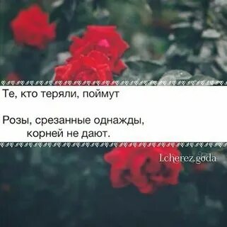 Однажды корень