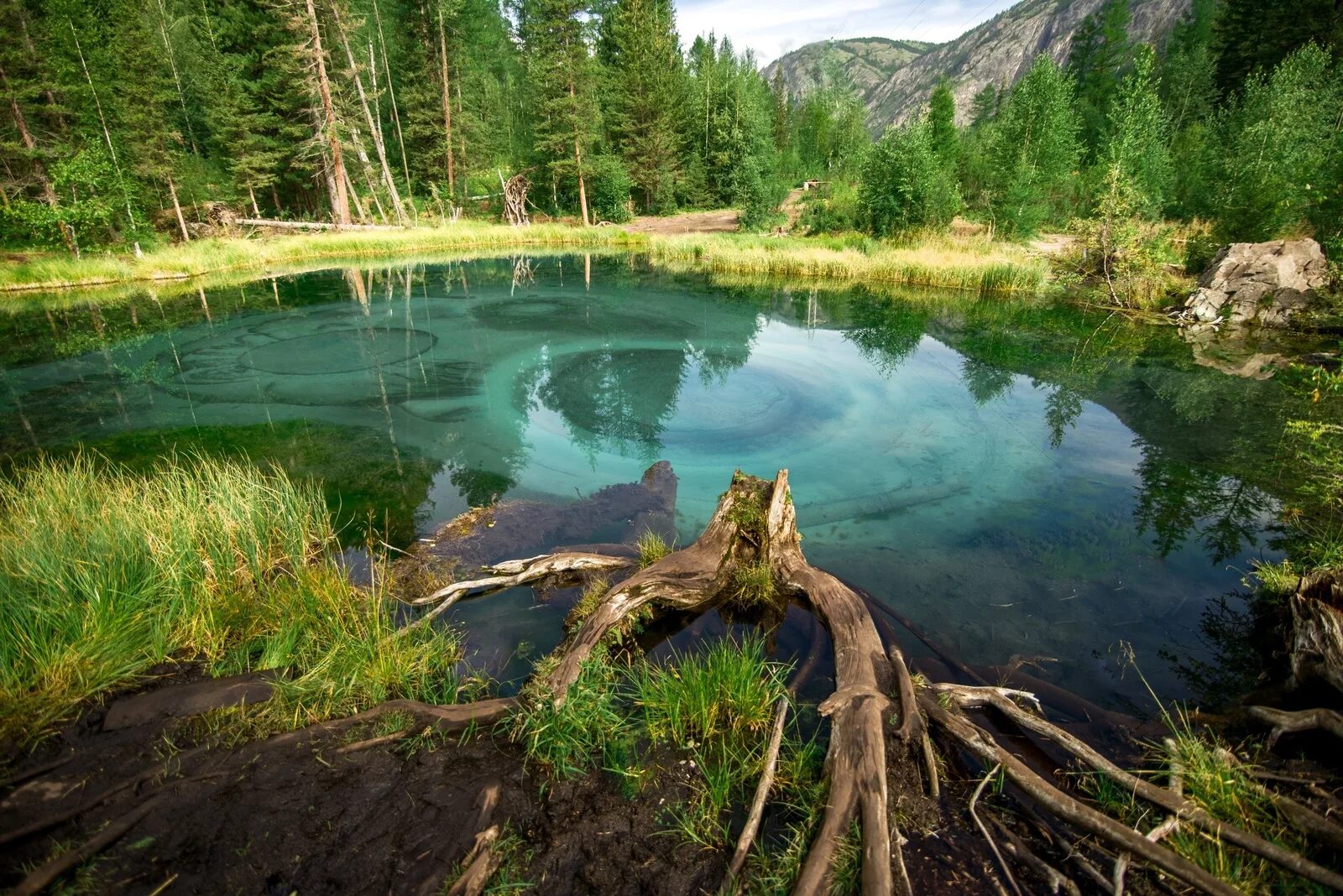 Красивые места в россии природа. Гейзеровы озера горный Алтай. Гейзеровое озеро горный Алтай Акташ. Голубое Гейзеровое озеро горный Алтай. Голубое озеро горный Алтай Акташ.