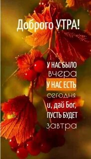 Красивые картинки с добрым утром ноября новые