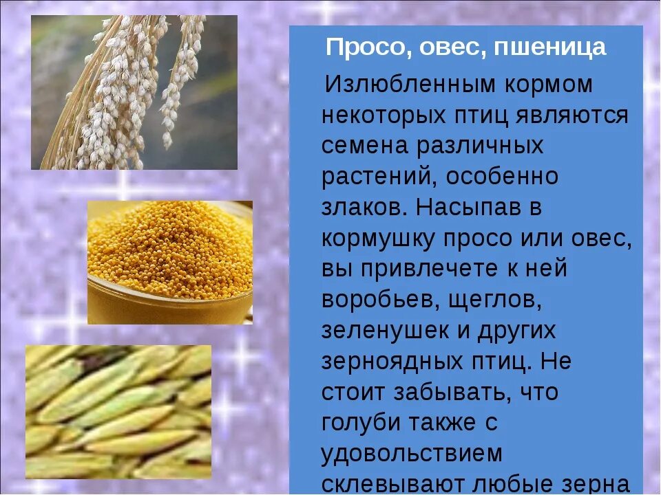 Просо виды