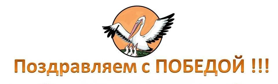 Поздравление с победой в кон. Пожелания участникам конкурса в стихах. Учитель года поздравление на конкурсе. Поздравляем педагога с победой в конкурсе. Поздравление с победой в учителе года.