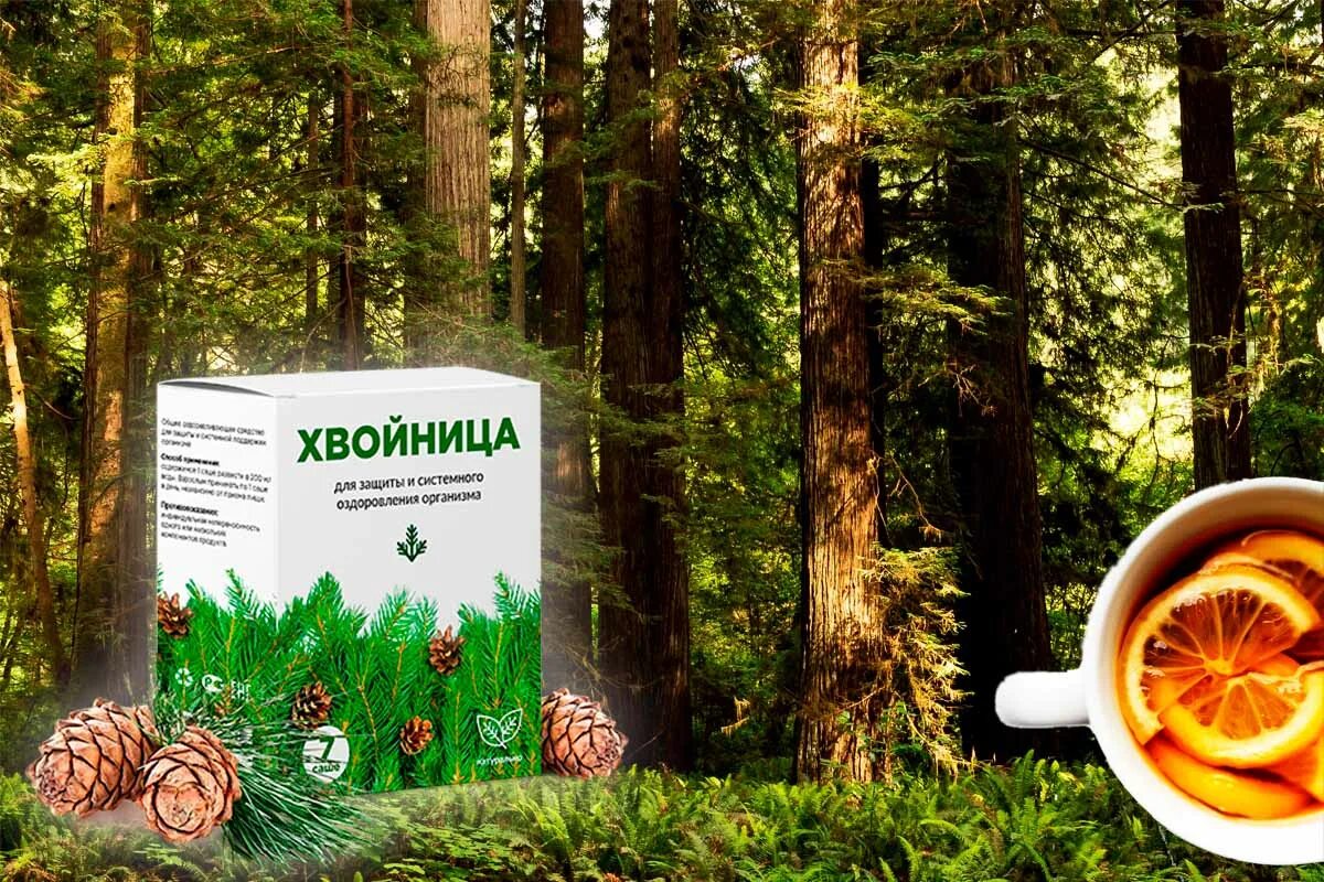 Комплекс Хвойница что это?