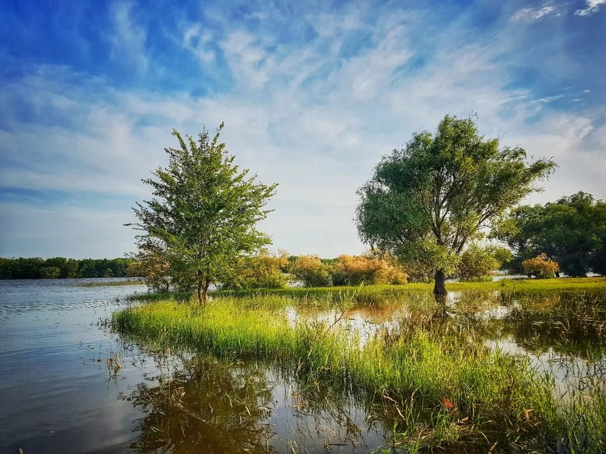 Природа плавней. Дельта реки Волга. Дельта реки Астрахань. Водно-болотного угодья Дельта реки Волги. Астраханская Дельта Волги.