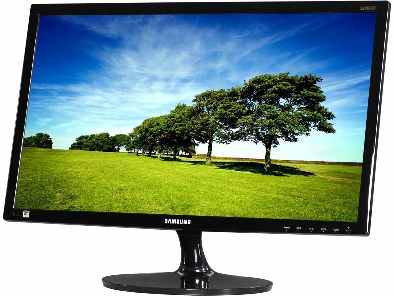 Монитор самсунг s22b300. Монитор Samsung 18.5 s19b150. Samsung 24 s24d300h. 24" Монитор Samsung s24d300h. Samsung s24 память