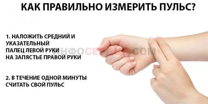 Как правильно мерить пульс. Как правильно измерять пульс. как правильно мерять пульс на руке. как измерить пульс на руке. какиправельно мерить пулс.