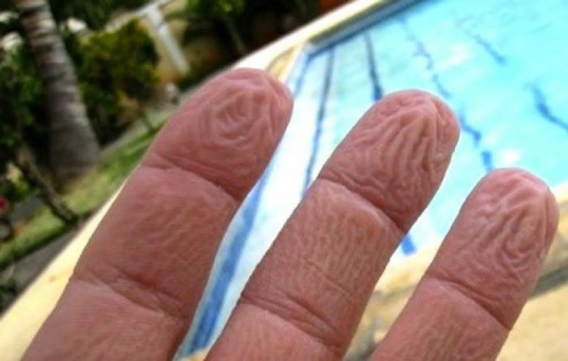 Пальцы рук после воды