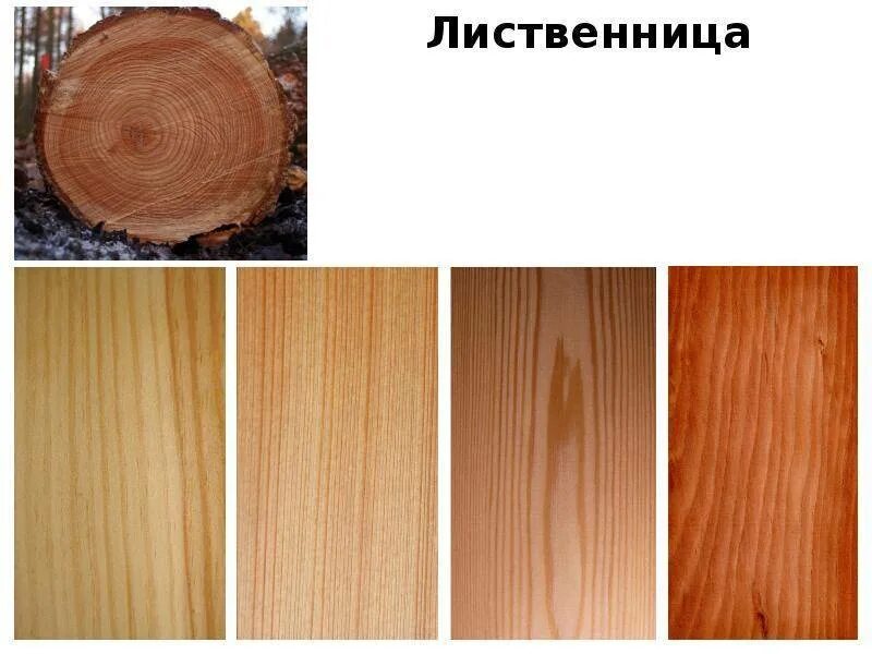 Какого цвета доски
