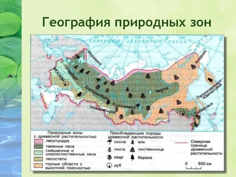 В какой природной зоне. Расположение природных зон. Природные зоны география. Природная зона в классе. География России природные зоны.