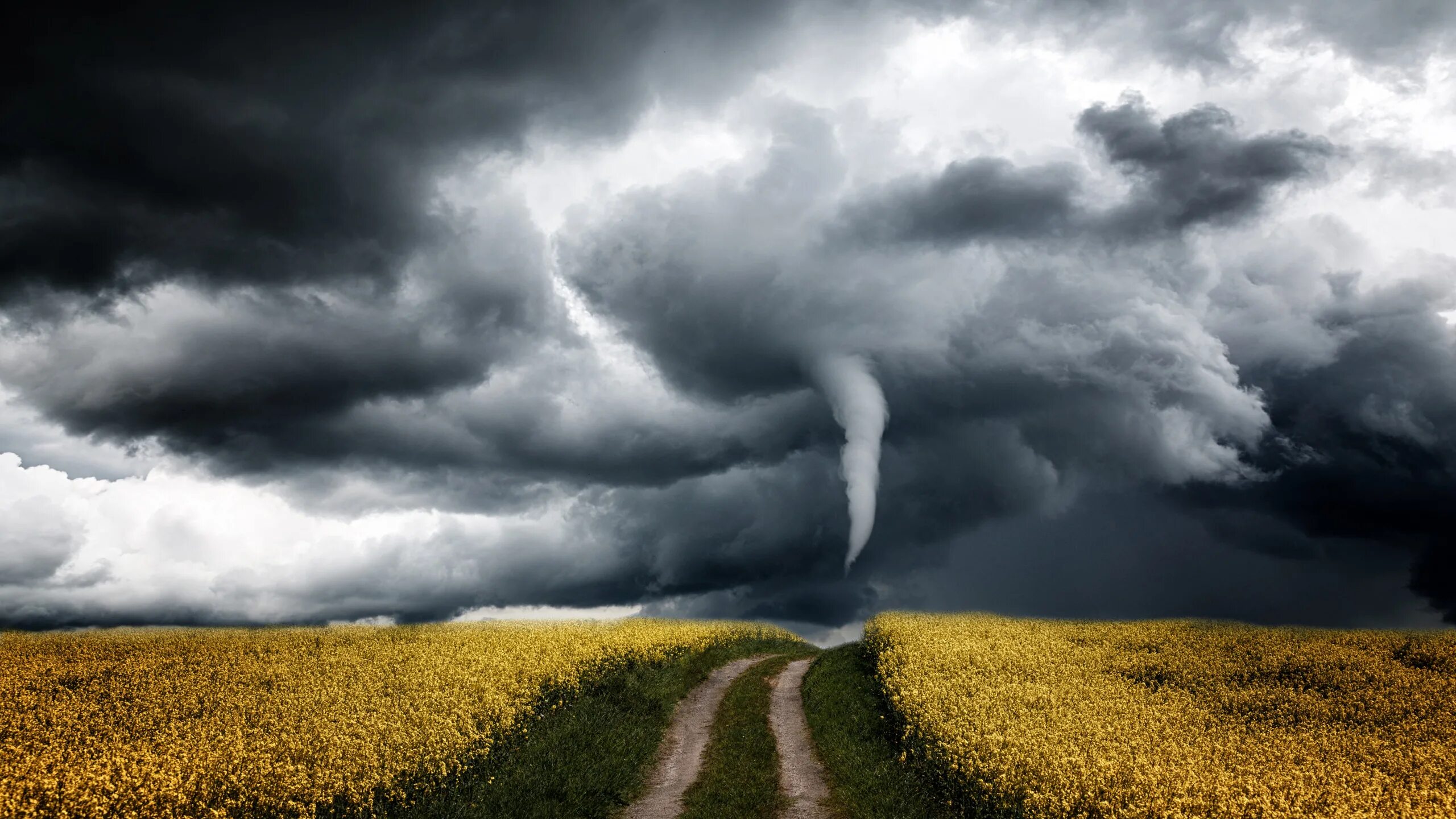 Слабое поле это в физике. Сильное поле. Сильное поле. Слабое и сильное магнитное поле. Обои на рабочий стол поле.