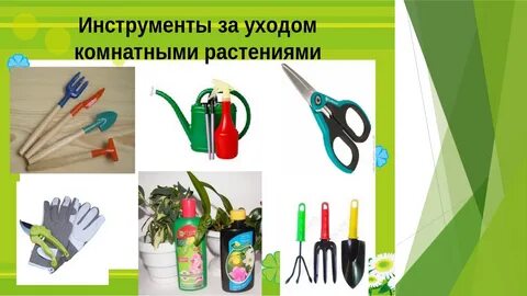 Предметы для ухода за растениями