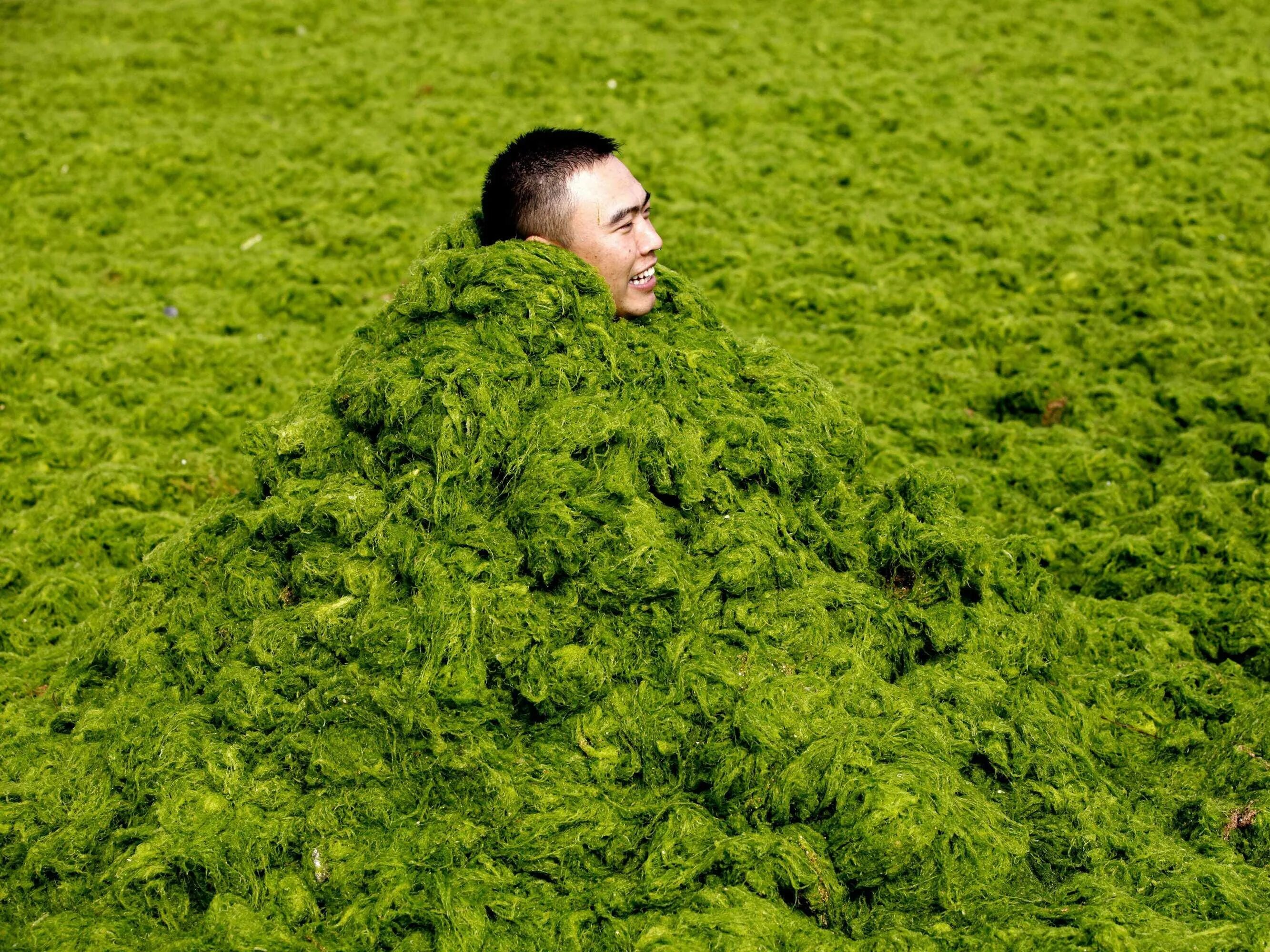 Нашел солдат в широком поле травой заросший. Травяной человек. Человек в траве. Много травы. Огромная трава.