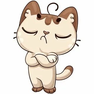 Котик из телеграмма
