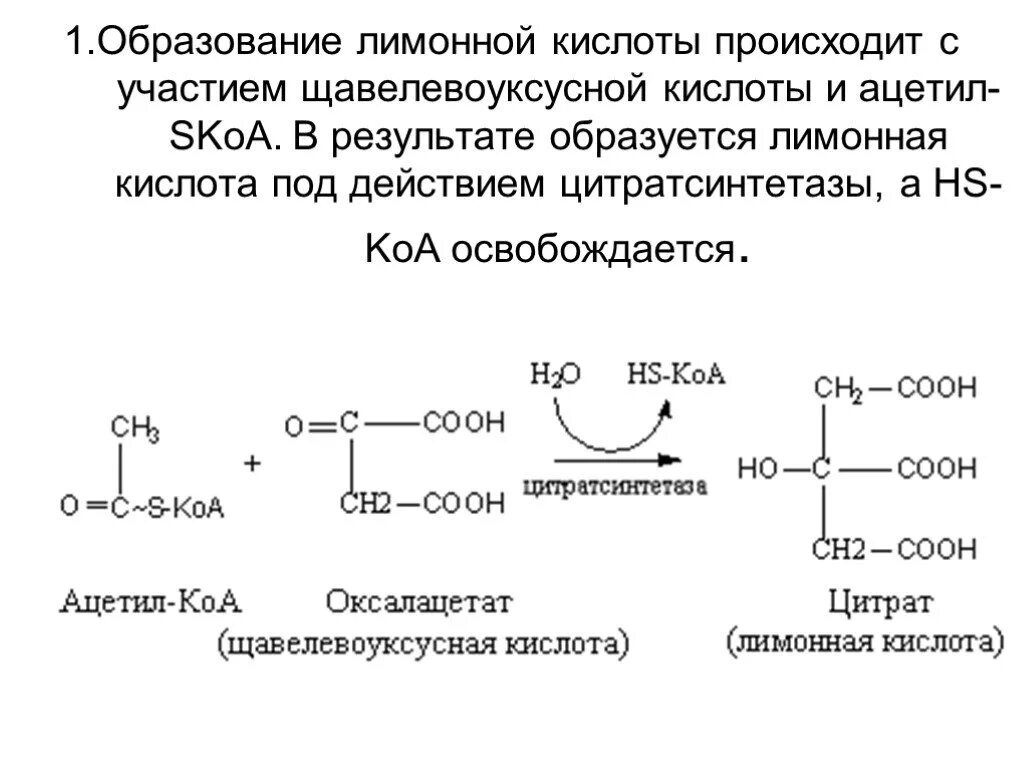 Уксусная кислота образуется в результате взаимодействия. Синтез щавелевоуксусной кислоты. Образование лимонной кислоты из ацетил КОА. Лимонная кислота формула Синтез. Схема синтеза лимонной кислоты.