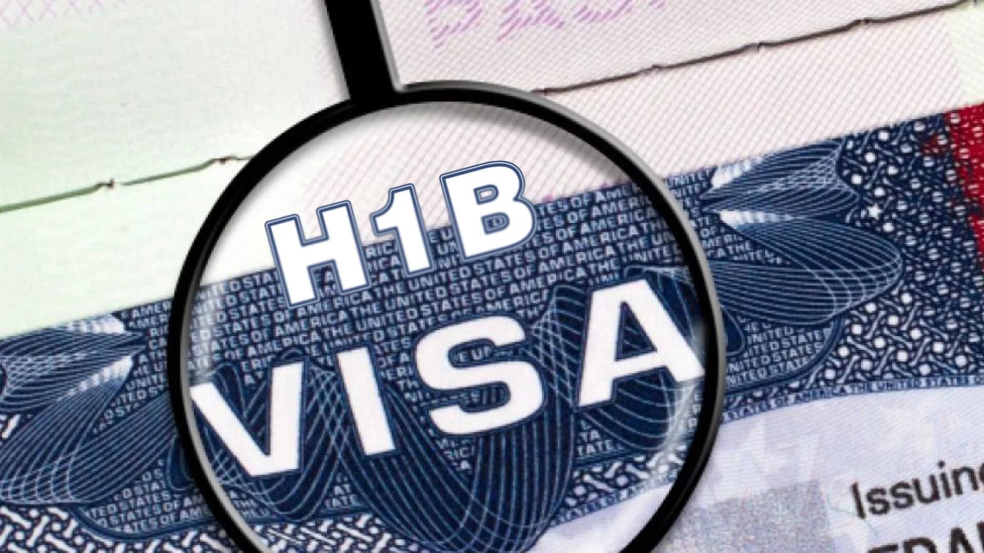 B visa. H1b виза. H1b visa. Виза векторное изображение. Шенгенская виза логотип.