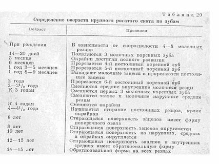 Определение возраста