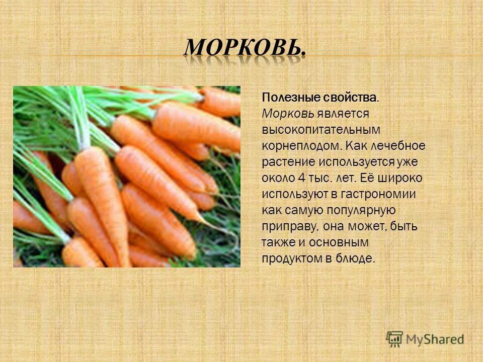 Сколько потребуется морковок. Что полезного в моркови. Чем полезна морковь. Характеристика моркови. Для чего полезна морковь.