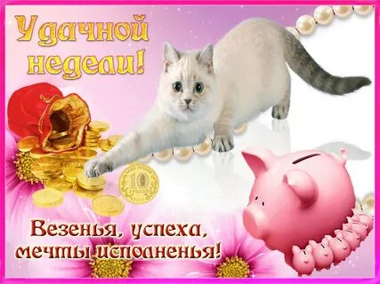 Ти недели