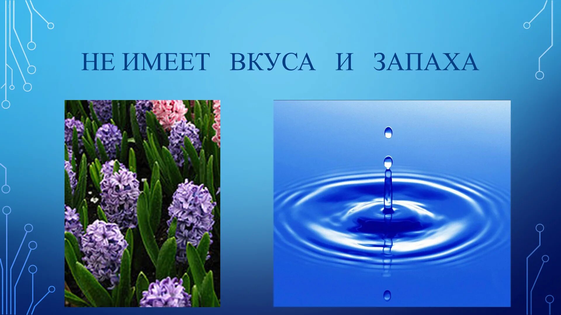 Урок про воду. Окружающий мир вода. Про воду 2 класс. Свойства воды. Про воду 2 класс окружающий мир.