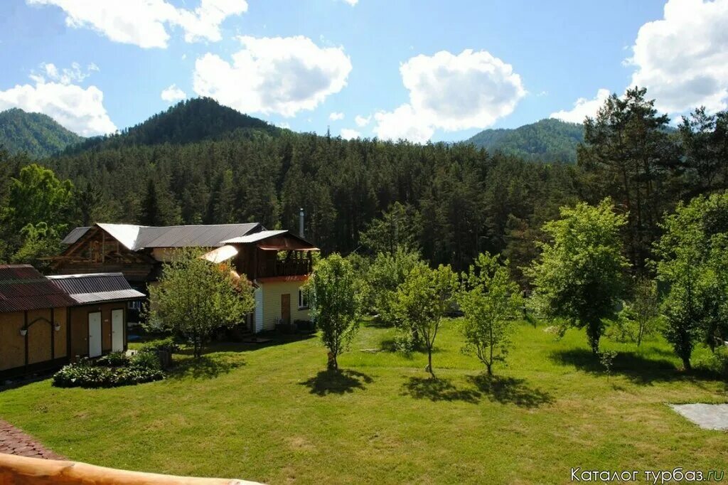 Усадьба номер 1 горный алтай. Турбаза ника горный алтай. Аскат чемальский район. Чемал усадьба ярцевых. Село аскат горный алтай.