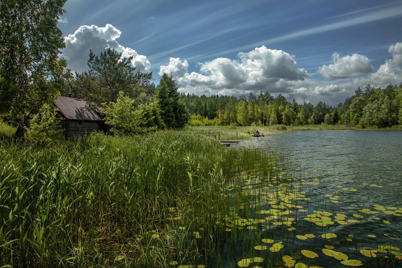 Озеро деревня лес Новосибирск. Лесное озеро село поселок. Деревня озеро Калужская область. Деревня чистая речка Тверская область. Деревня возле озера