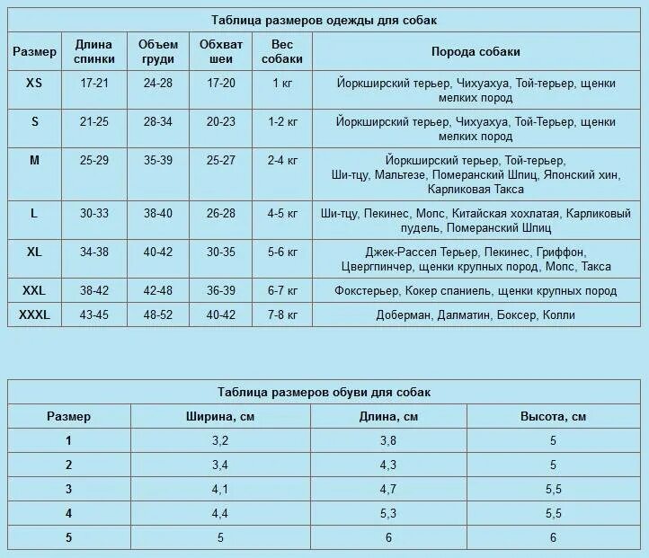 Размеры одежды для собак таблица. Таблица размеров одежды для собак мелких пород. Как определить размер собаки для одежды таблица. Таблица размеров собак для одежды Йоркширский терьер.