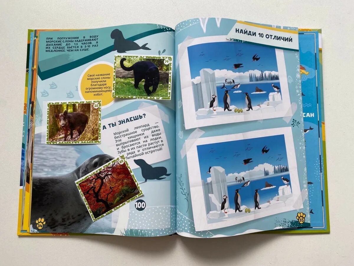 Домашние животные задания для дошкольников. Ткачева а. Ярусы в лесу животные. Наблюдаем и изучаем животные. Наблюдаем и изучаем животные.