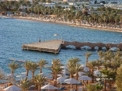 Beach albatros sharm 4 отзывы
