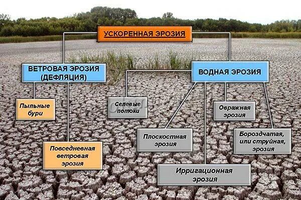 Что делают для предотвращения эрозии. Защита земель от эрозии. водная и ветровая эрозия почв. защита почв от эрозии. меры защиты почв от водной эрозии.