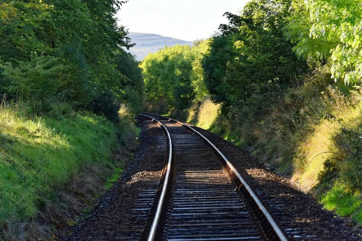 Железная дорога c. Железная дорога Rail track 4110. Лесонасаждения ЖД. Защитные лесонасаждения ЖД. Железнодорожные пути.